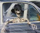 Σκελετός μέσα σε ένα αυτοκίνητο, Απόκριες